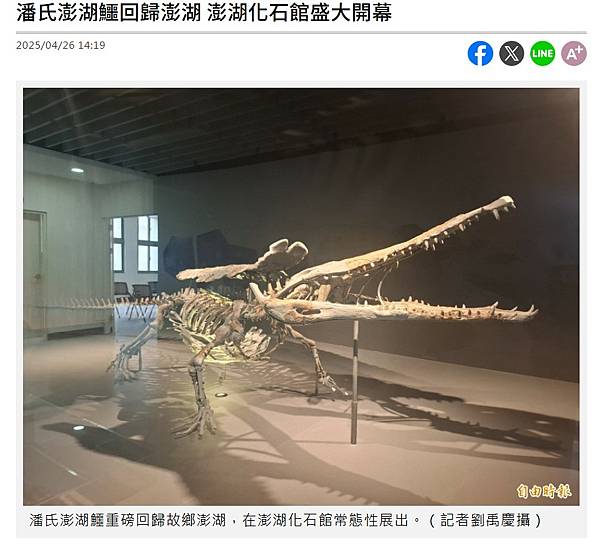 台南左鎮鱷魚化石+澎湖鱷屬/潘氏澎湖鱷/澎湖原人的出土,改寫 台南左鎮鱷魚化石+澎湖鱷屬/潘氏澎湖鱷/澎湖原人的出土,改寫