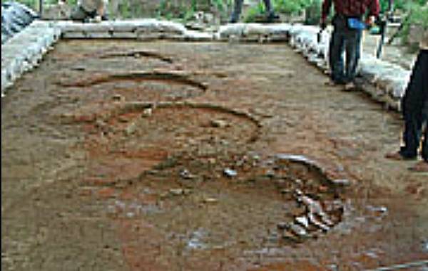 糖灶(孔明鼎)有糖鄉之稱的頂廍里,榨甘蔗用的石硨和煮糖用的孔 糖灶(孔明鼎)有糖鄉之稱的頂廍里,榨甘蔗用的石硨和煮糖用的孔