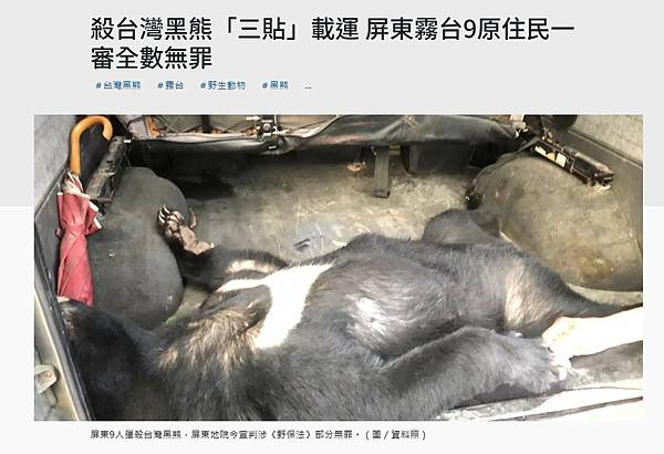 台灣黑熊之父李藤正/黑熊、非洲獅、孟加拉虎，這三隻動物建立了