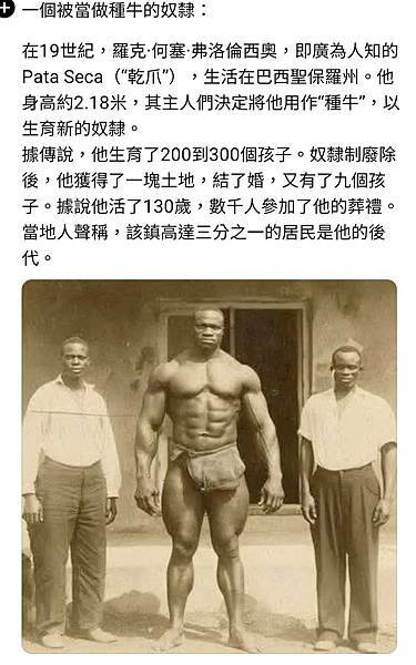 「原住民觀光」/1835年起直到1958年人類動物園(人類學 「原住民觀光」/1835年起直到1958年人類動物園(人類學