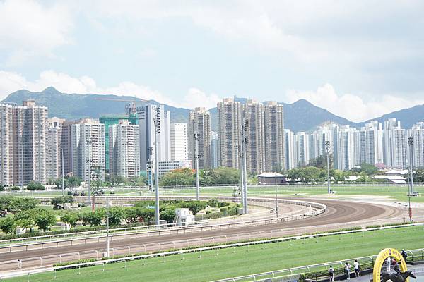 DSC05313.JPG DSC05313.JPG