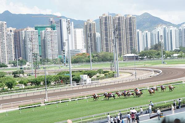 DSC05335.jpg DSC05335.jpg