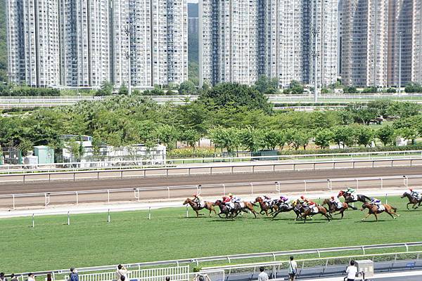 DSC05336.jpg DSC05336.jpg