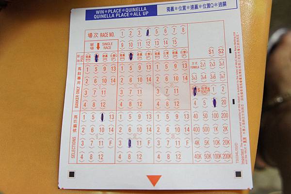 DSC05322.JPG DSC05322.JPG