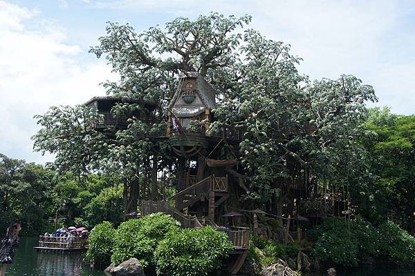 DSC09502.JPG DSC09502.JPG