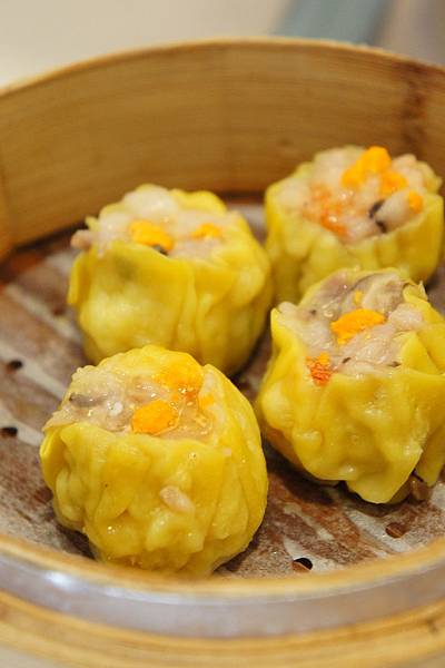 DSC05542.JPG DSC05542.JPG