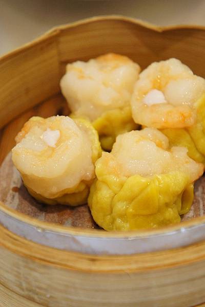 DSC05544.JPG DSC05544.JPG