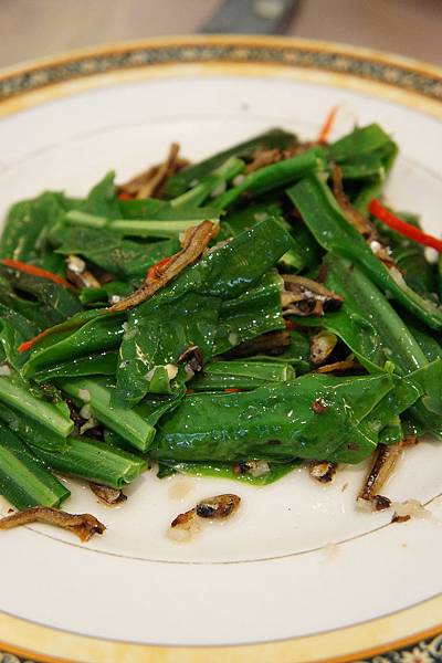 DSC05550.JPG DSC05550.JPG