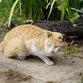 DSC06566.JPG