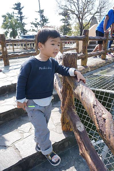 DSC02545.jpg DSC02545.jpg