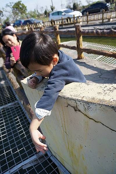 DSC02551.jpg DSC02551.jpg