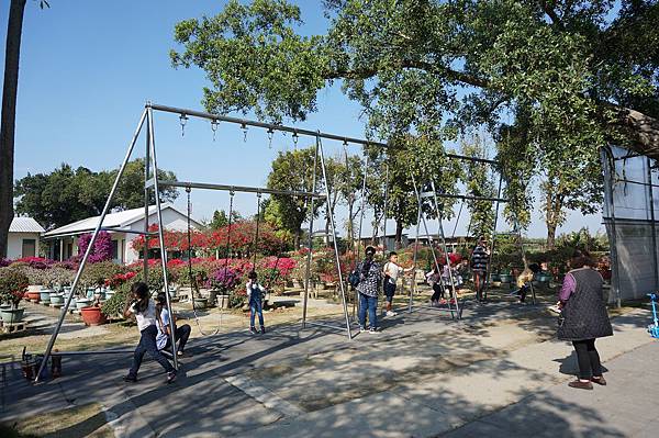 DSC02561.jpg DSC02561.jpg