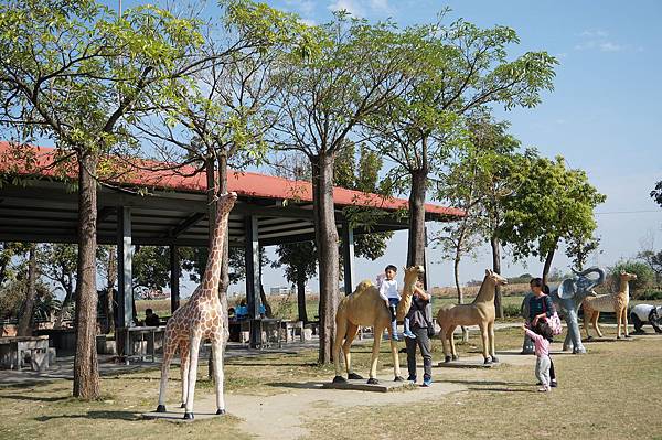 DSC02563.jpg DSC02563.jpg