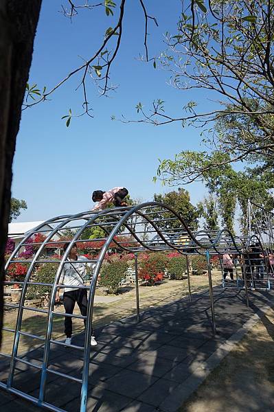 DSC02585.jpg DSC02585.jpg