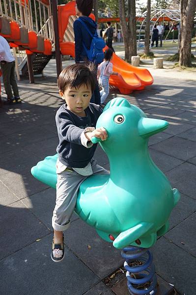 DSC02656.jpg DSC02656.jpg