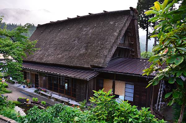 DSC_6702.jpg DSC_6702.jpg