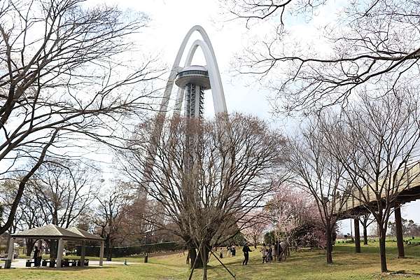 日本部賞櫻景點 國営木曾三川公園138塔公園 木曾川堤櫻花爆美 138塔親子公園 親子賞櫻最佳景點 貪吃媽媽liz帶著勛勛玩世界