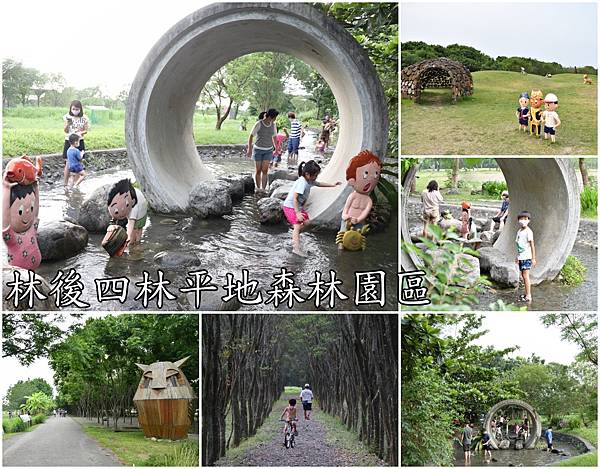 collage.jpg collage.jpg