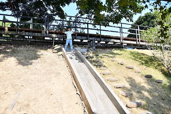 【台南楠西區】窯窯woody ～窯烤美食很好吃，有大草皮、滑