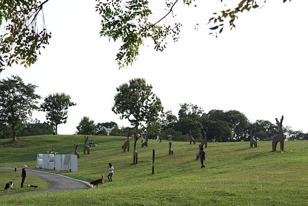 【台南官田區】西拉雅國家風景區管理處官田遊客中心～遼闊大草原