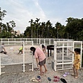 IMG_6679.JPEG