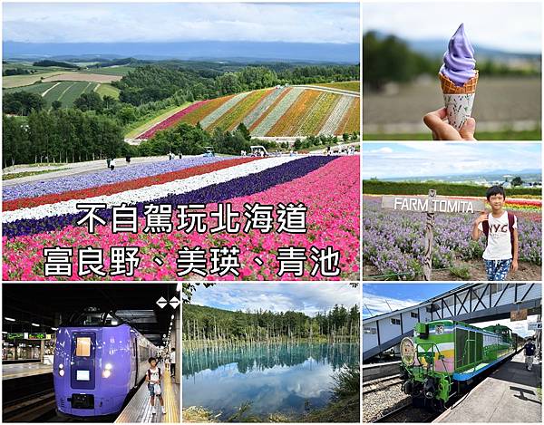 不自駕富良野富田農場、美瑛四季彩之丘、青池、白鬚瀑布一日遊