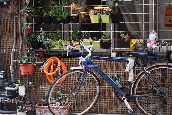 【台南中西區】䖙 | Thenn Leh ~營業到凌晨,有 【台南中西區】䖙 | Thenn Leh ~營業到凌晨,有