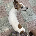 IMG_7319.JPEG