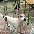 IMG_7314.JPEG