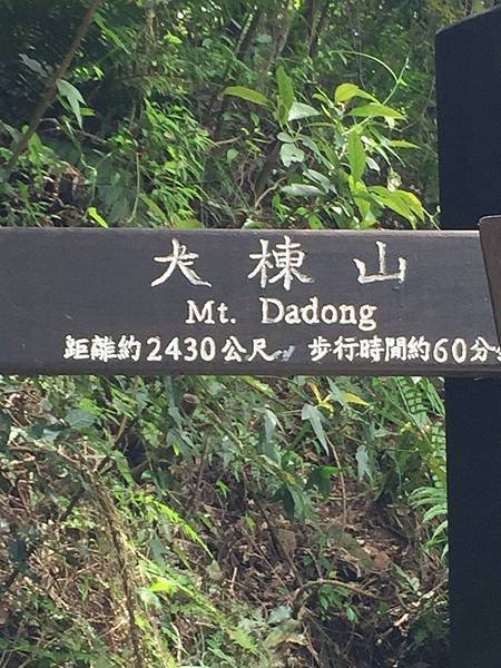 大棟山6.jpg 大棟山6.jpg