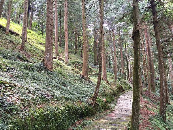 東眼山1.jpg 東眼山1.jpg
