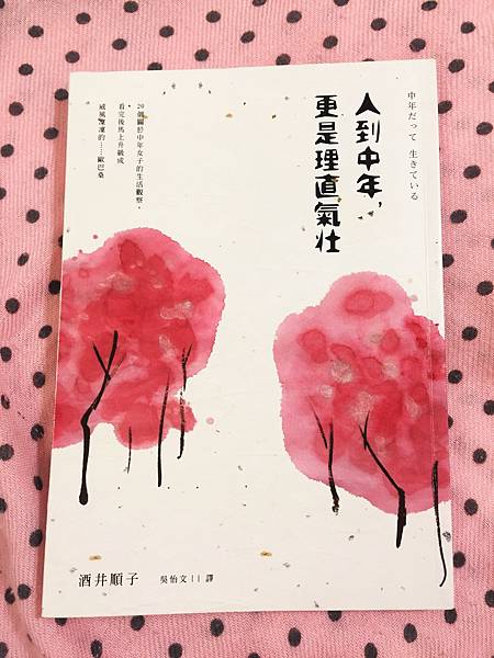 中年書.JPG 中年書.JPG