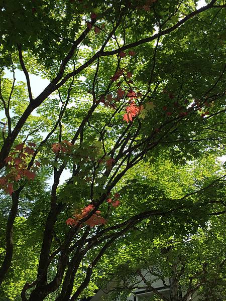 IMG_8998.JPG IMG_8998.JPG