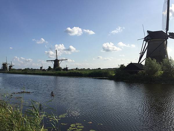 IMG_0432.JPG IMG_0432.JPG
