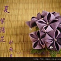 紫陽花~深淺雙紫色