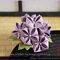 紫陽花~深淺雙紫色