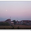 IMG_1587.jpg