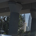 CIMG5231.JPG