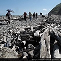 11-219峰高繞路段前的海岸漂流木.JPG