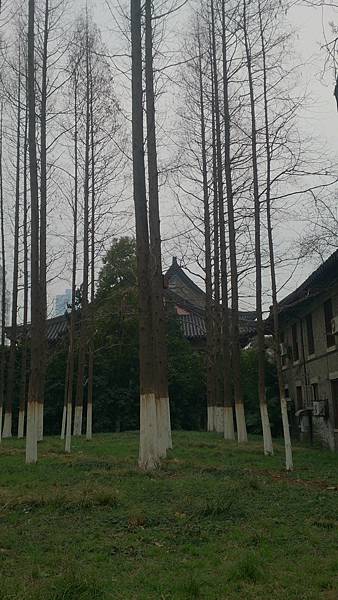 2014-03-02 14.01.17 (與 Sophia-PC 衝突的複本 2014-04-13).jpg