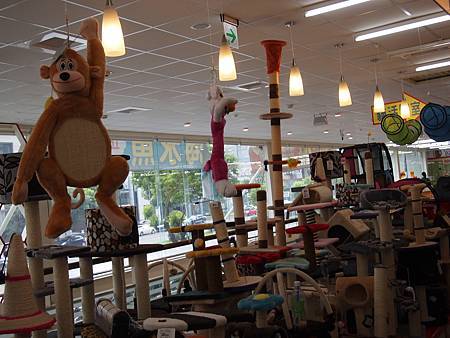 P8010837.JPG P8010837.JPG