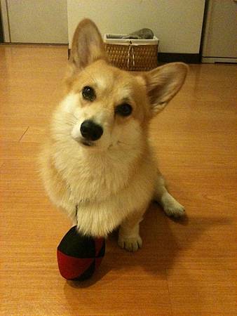 IMG_2582.JPG IMG_2582.JPG
