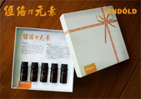 經絡兀元素 經絡兀元素