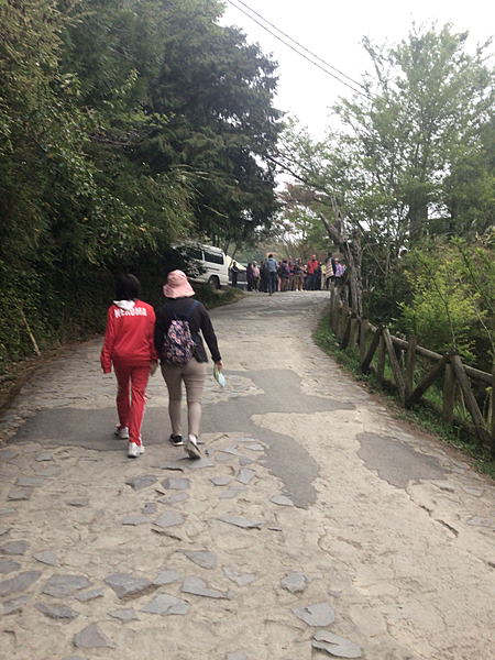 司馬庫斯二日遊(上)