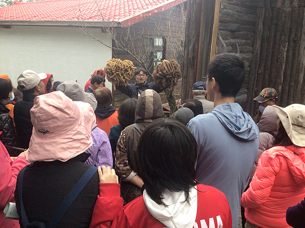 司馬庫斯二日遊(上)