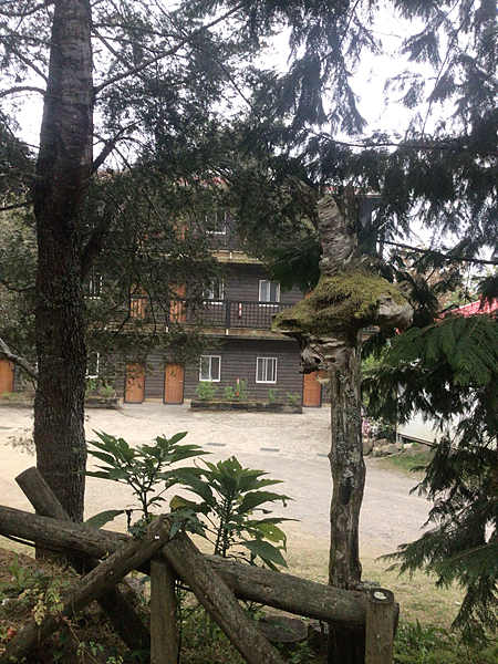 司馬庫斯二日遊(上)