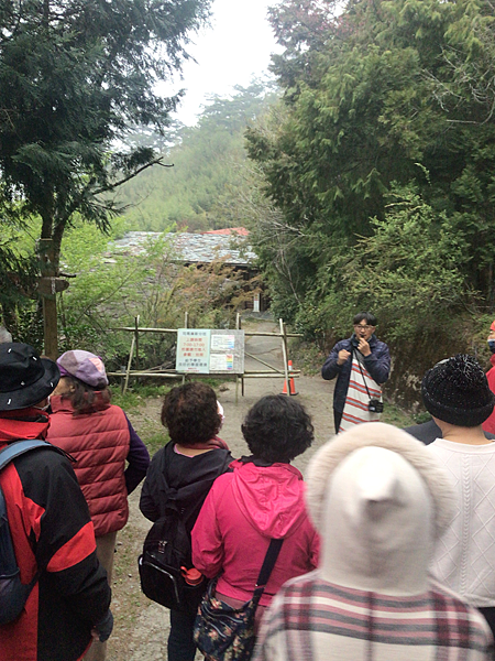 司馬庫斯二日遊(上)