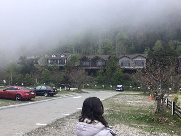 司馬庫斯二日遊(上)