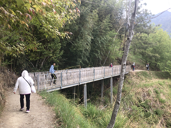 司馬庫斯二日遊(中)