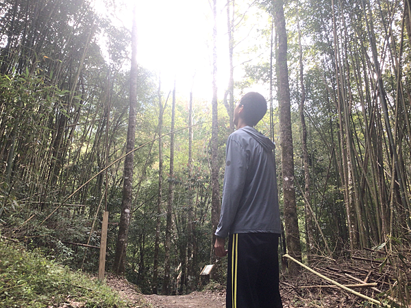 司馬庫斯二日遊(中)